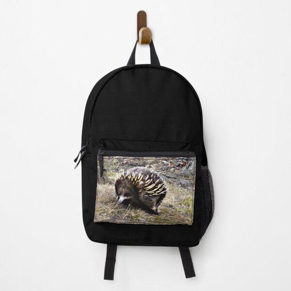 Item preview, Echidna of the South designed and sold by KazM.