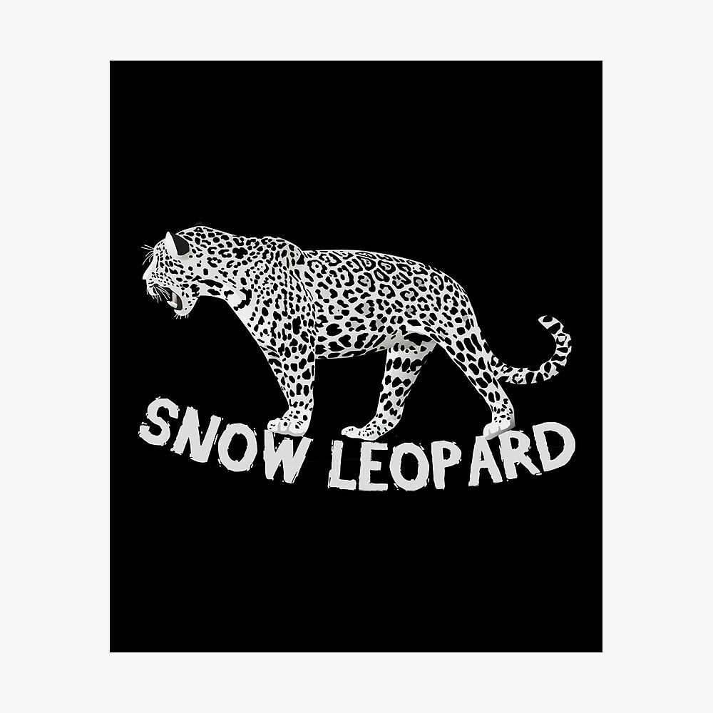 Snow Leopard Leopard Wilderness Animal Rare Poster By Argentini Redbubble