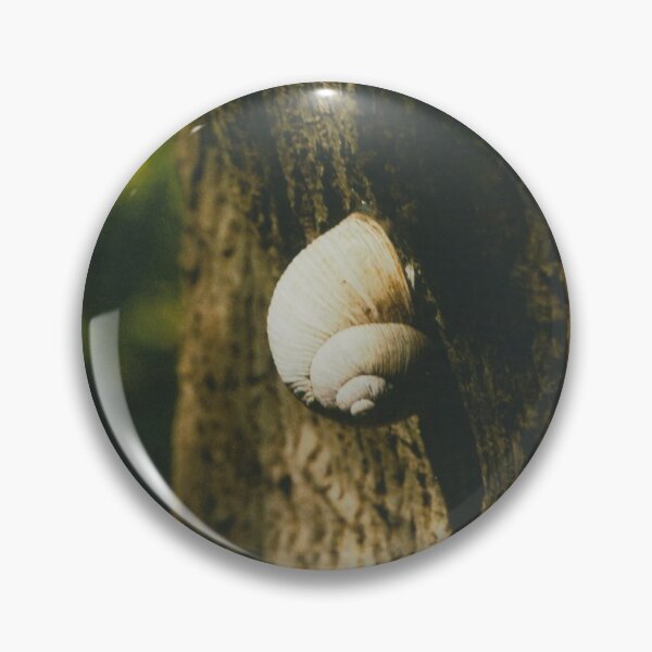 Item preview, Big snail on a tree trunk designed and sold by Debjaphotography.