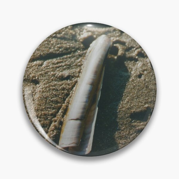Item preview, Razor Shell in Sand designed and sold by Debjaphotography.