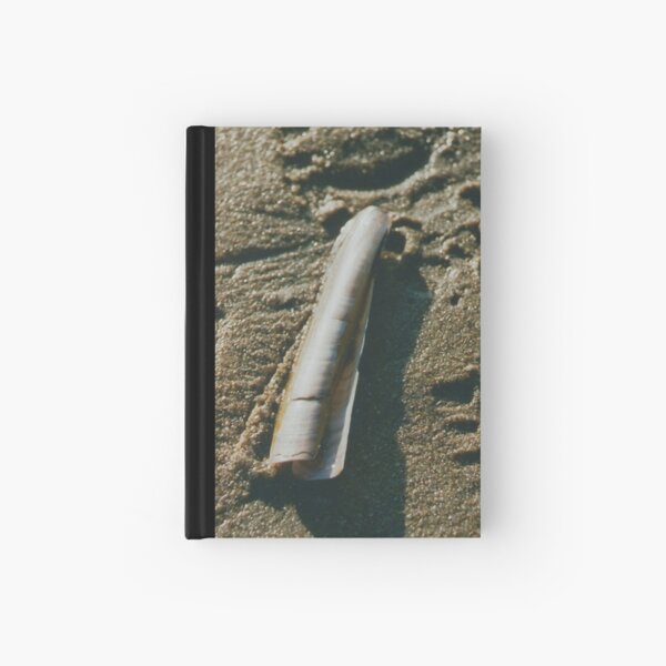 Item preview, Razor Shell in Sand designed and sold by Debjaphotography.