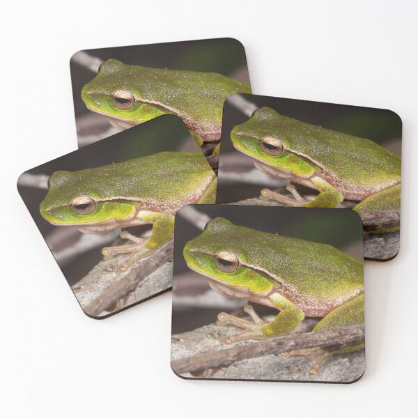 Item preview, Sitting by a Stream (Litoria phyllochroa) designed and sold by AlienMind.