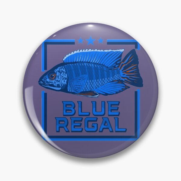 Item preview, Blue Regal Mbenji Peacock Cichlid Lake Malawi Aulonocara Aquarium Fish Kaiserbuntbarsch designed and sold by TheAplus.