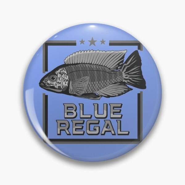 Item preview, Blue Regal Mbenji Peacock Cichlid Lake Malawi Aulonocara Aquarium Fish Kaiserbuntbarsch b/w designed and sold by TheAplus.