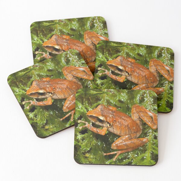 Item preview, A Splash of Colour on a Bed of Moss (Pristimantis reichlei) designed and sold by AlienMind.