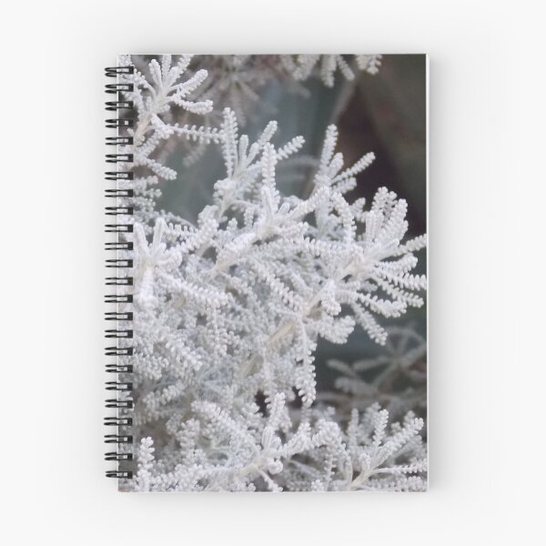 Item preview, Snowflake Succulent designed and sold by Naomi80.