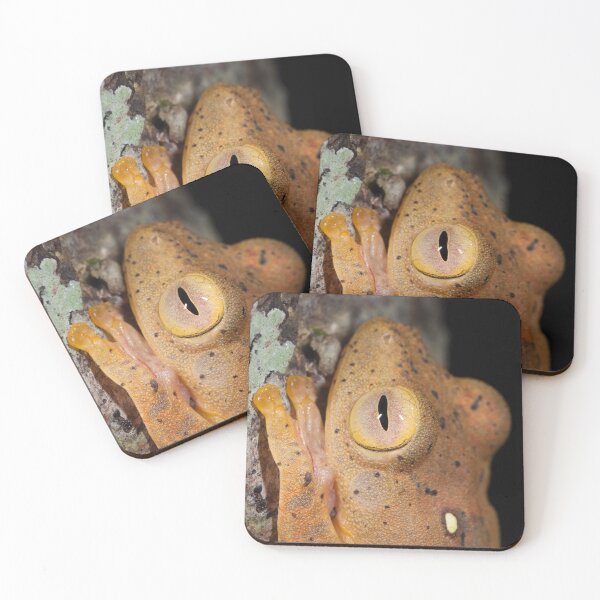 Item preview, Bright-Eyed Harlequin (Rhacophorus pardalis) designed and sold by AlienMind.
