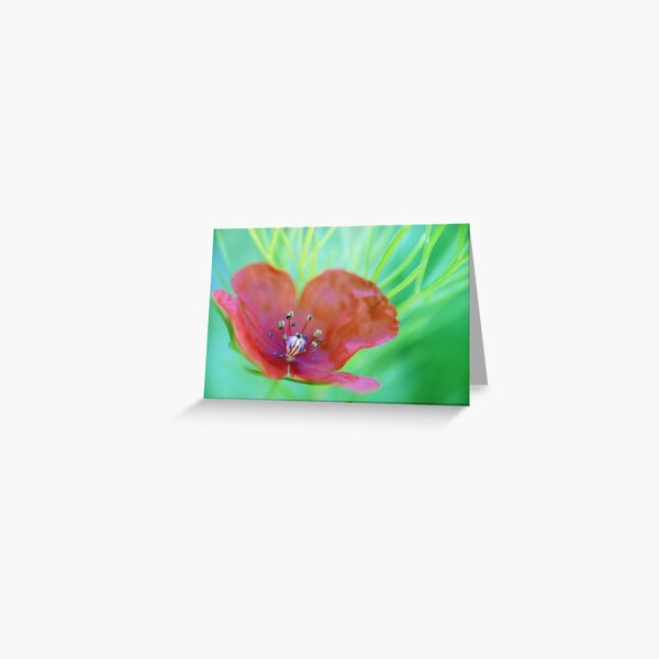 Lucid Red Poppy Greeting Card