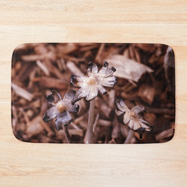 Item preview, Glistening Inky Cap Mushrooms - Coprinus Micaceus designed and sold by Debjaphotography.