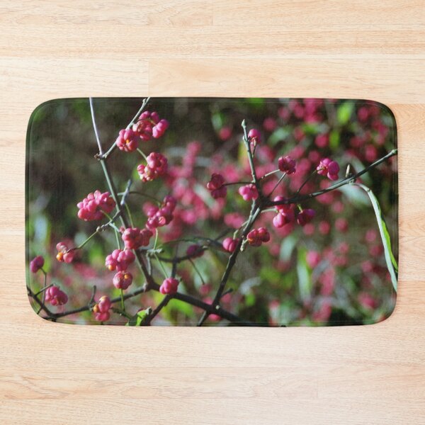 Item preview, Euonymus Europaeus Red Cascade designed and sold by Debjaphotography.