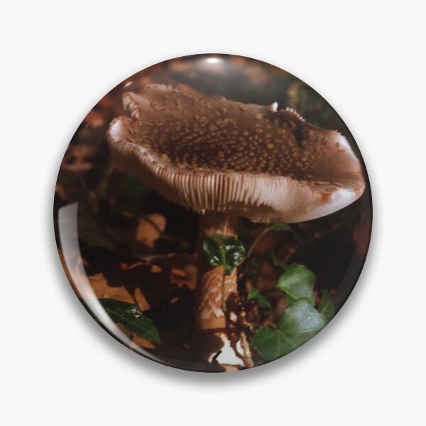 Item preview, Mushroom in Autumn Colors  designed and sold by Debjaphotography.