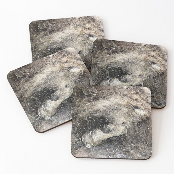 Item preview, 12.6.2020: Killed Animal designed and sold by Petri Volanen.