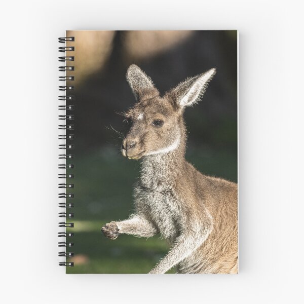 Item preview, Kangaroo portrait designed and sold by Coen-87.