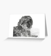 Schnell, Wire Haired Dachschund (cropped edge) Greeting Card