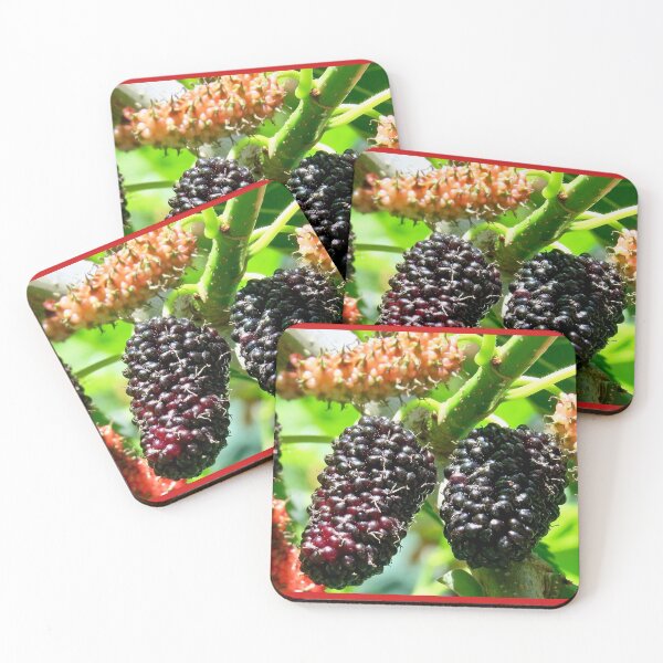 Item preview, Ripe Black Mulberries 黑桑 by Bao-Er designed and sold by Chinaspaces.