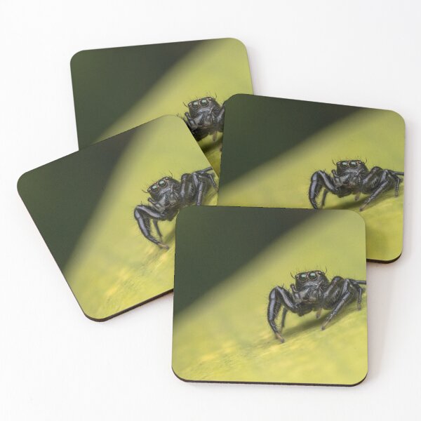 Item preview, Black spider designed and sold by angieanguk.