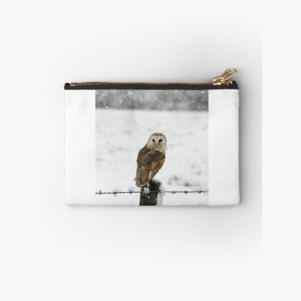 Item preview, Barn Owl in snow designed and sold by Jenny Hibbert.