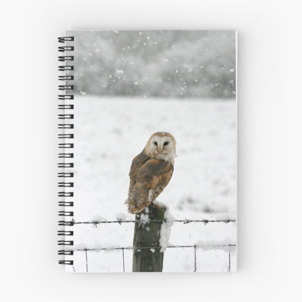 Item preview, Barn Owl in snow designed and sold by Jenny Hibbert.