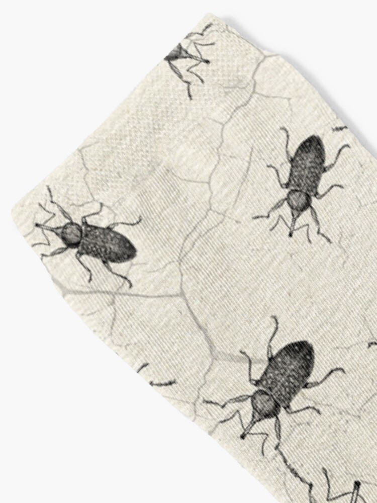 Weevil Beetle chaos Socks
