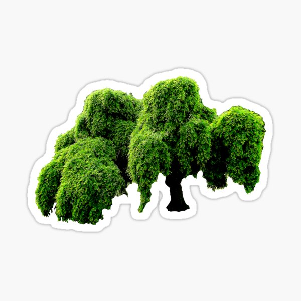 Jenischpark tree Sticker
