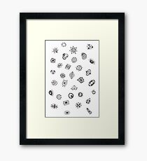 Flakes Framed Print