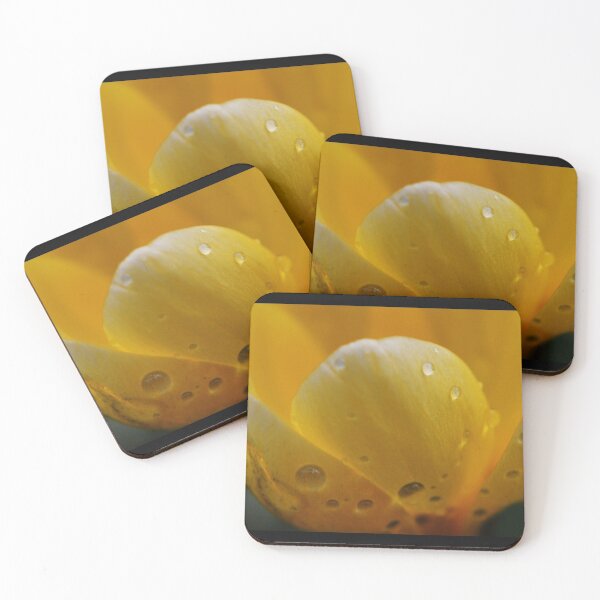 Item preview, After the rain - tulip - colour designed and sold by photosforall.