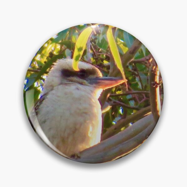 Item preview, Kookaburra (笑翠鸟) sitting in a tree by Bao-Er designed and sold by Chinaspaces.