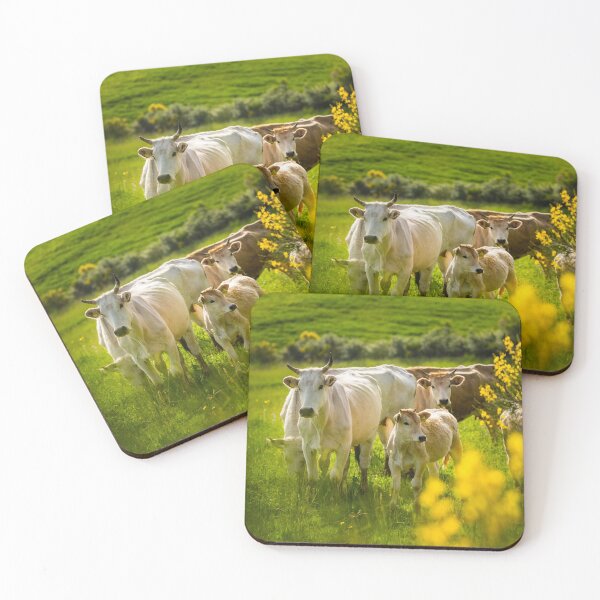 Item preview, Tuscan moo designed and sold by Alistair Wilson.
