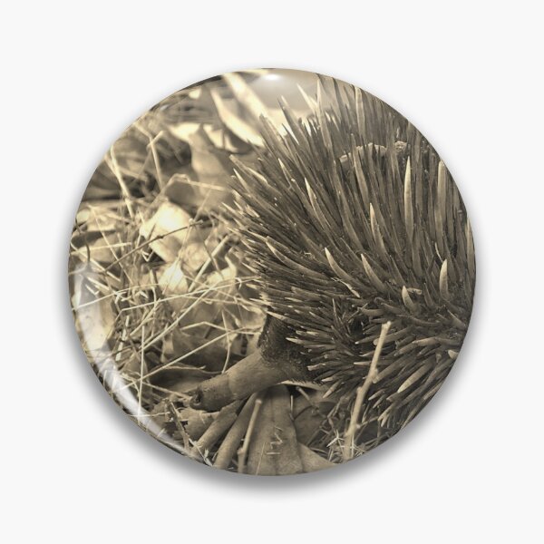 Item preview, Echidnas An Echidna In The Scrub - Landscape, Sepia designed and sold by Jason Gilbert.