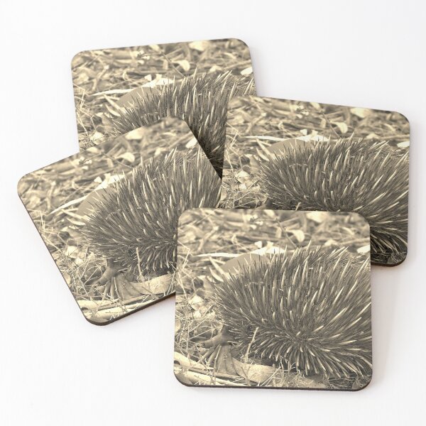 Item preview, Echidnas An Echidna In The Scrub - Landscape, Sepia designed and sold by Jason Gilbert.