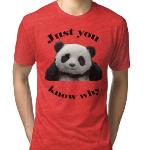 panda cheese shirt