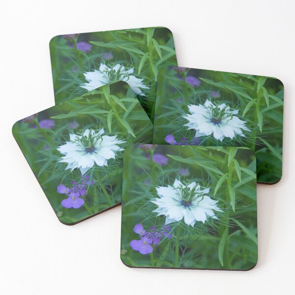 Item preview, Love-in-a-mist designed and sold by John Honeyman.
