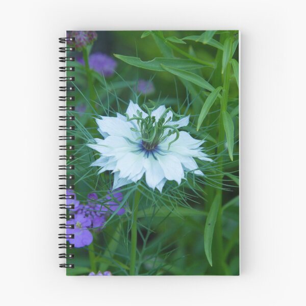 Item preview, Love-in-a-mist designed and sold by John Honeyman.