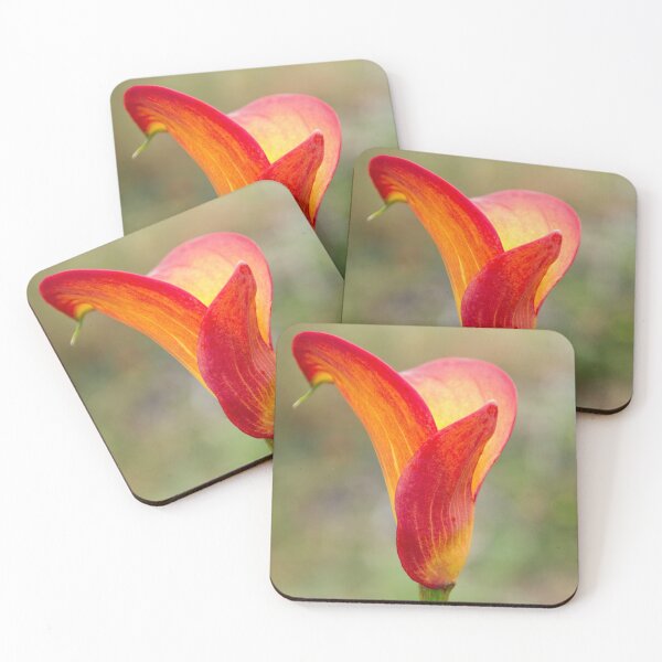 Item preview, Orange Calla Lily designed and sold by John Honeyman.