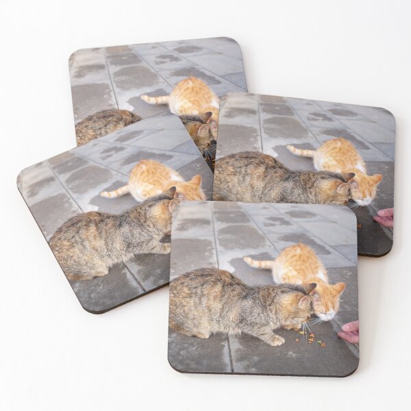 Item preview, Close up hand of a teenage girl with food and two hungry stray cats designed and sold by vladromensky.