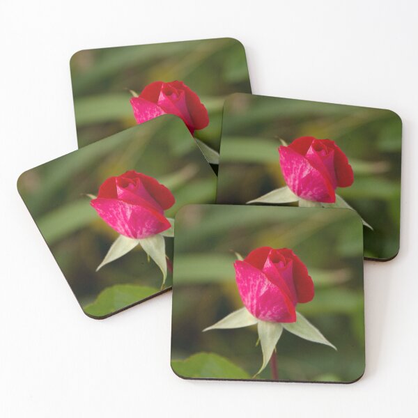 Item preview, Red Rose designed and sold by John Honeyman.