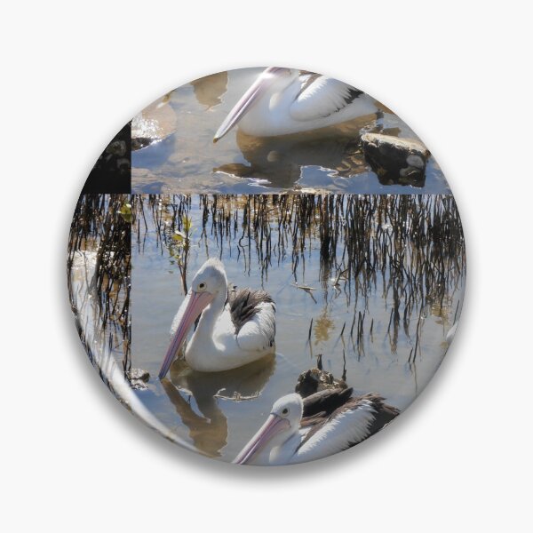 Item preview, Waiting for a Feed, Nambucca Heads, NSW, Australia. designed and sold by kaysharp.