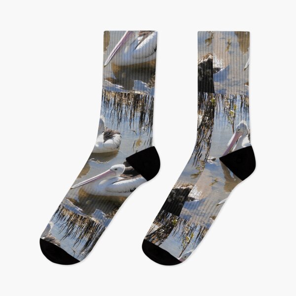 Item preview, Waiting for a Feed, Nambucca Heads, NSW, Australia. designed and sold by kaysharp.