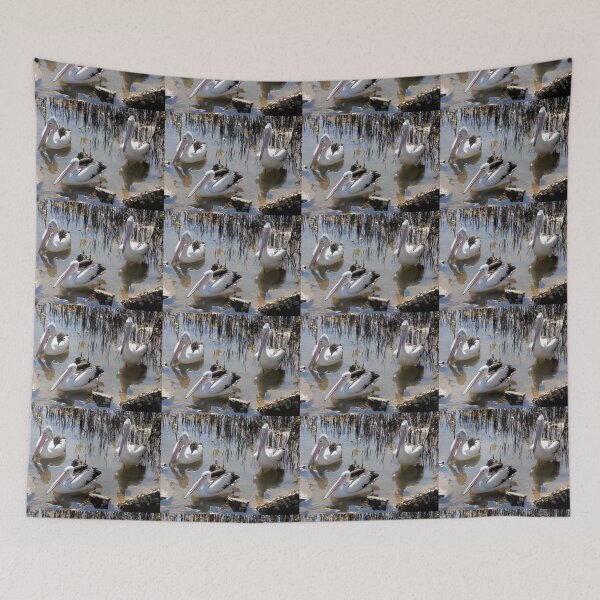 Item preview, Waiting for a Feed, Nambucca Heads, NSW, Australia. designed and sold by kaysharp.
