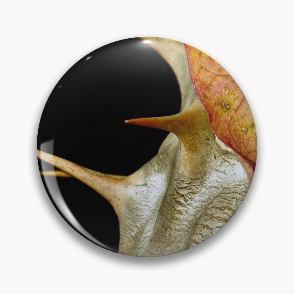 Item preview, Sharp Thorns 荆棘 against a black background by Bao-Er designed and sold by Chinaspaces.