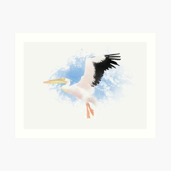 Pelican Art Print