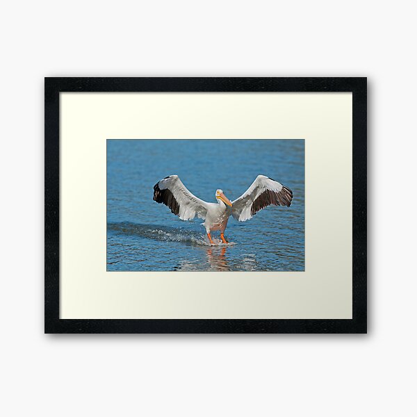 Item preview, Pelican Coming in for the Landing designed and sold by Bonnie T.  Barry.