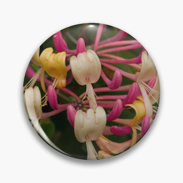 Item preview, Honeysuckle designed and sold by John Honeyman.