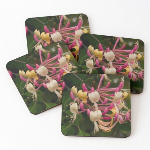 Item preview, Honeysuckle designed and sold by John Honeyman.