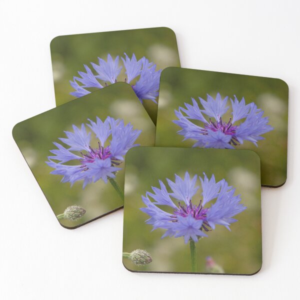 Item preview, Cornflower designed and sold by John Honeyman.