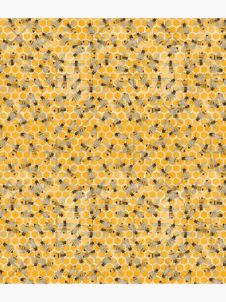 Bees on Honeycomb by amymh