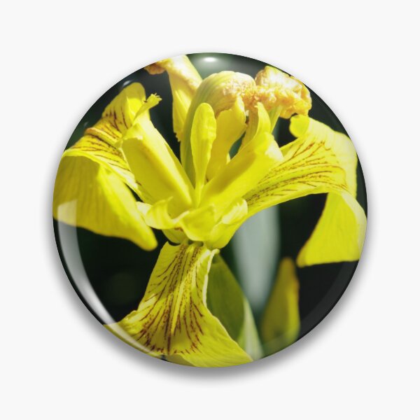 Item preview, Yellow Flag designed and sold by John Honeyman.