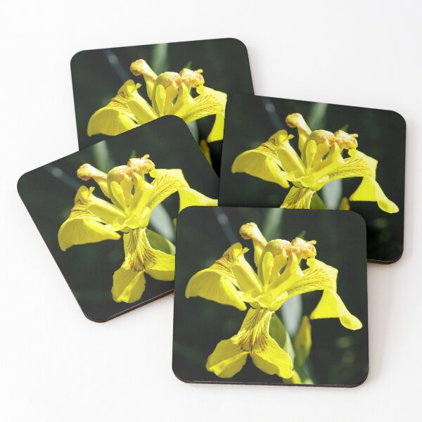 Item preview, Yellow Flag designed and sold by John Honeyman.