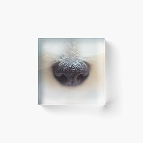 Item preview, Dog nose designed and sold by angieanguk.