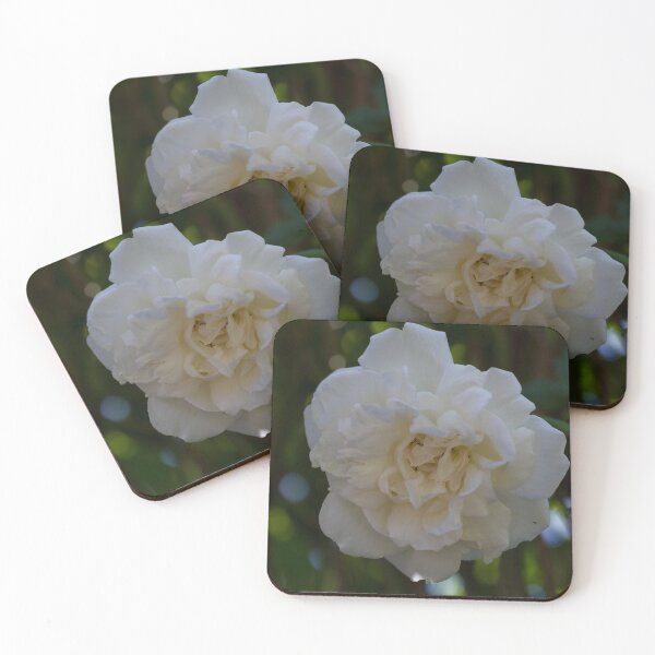 Item preview, White Rose designed and sold by John Honeyman.